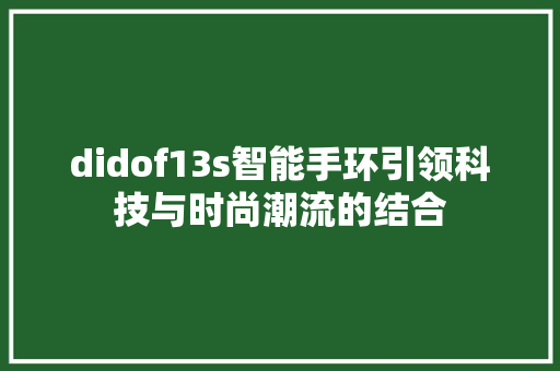 didof13s智能手环引领科技与时尚潮流的结合  第1张