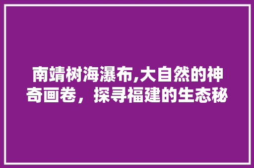 南靖树海瀑布,大自然的神奇画卷，探寻福建的生态秘境