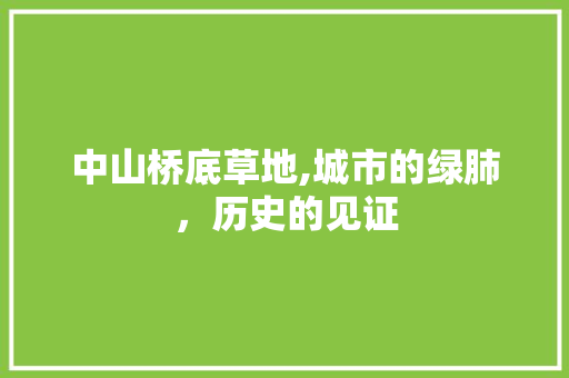 中山桥底草地,城市的绿肺，历史的见证