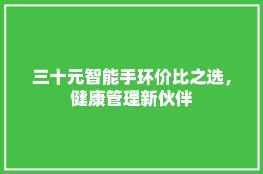 三十元智能手环价比之选，健康管理新伙伴