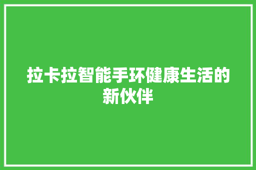 拉卡拉智能手环健康生活的新伙伴