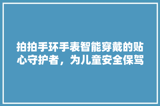 拍拍手环手表智能穿戴的贴心守护者，为儿童安全保驾护航