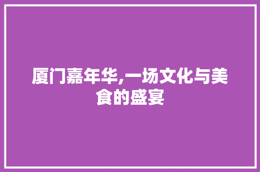 厦门嘉年华,一场文化与美食的盛宴