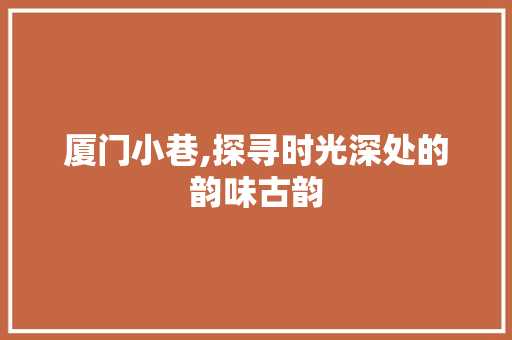 厦门小巷,探寻时光深处的韵味古韵