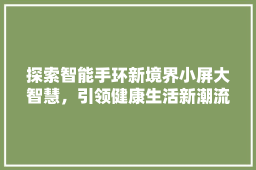 探索智能手环新境界小屏大智慧，引领健康生活新潮流