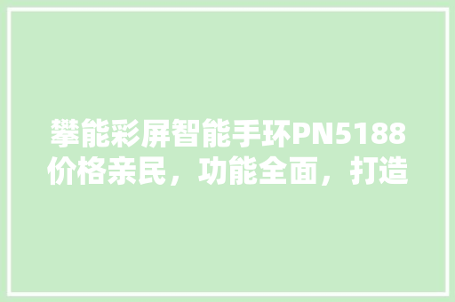 攀能彩屏智能手环PN5188价格亲民，功能全面，打造健康生活新体验  第1张