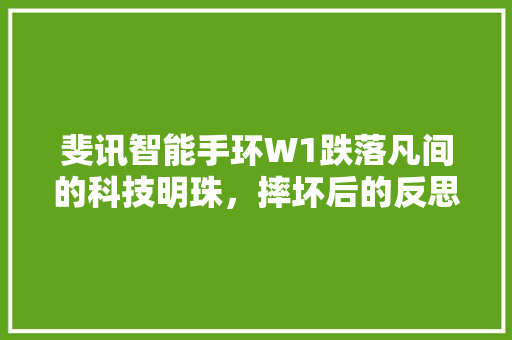 斐讯智能手环W1跌落凡间的科技明珠，摔坏后的反思与启示