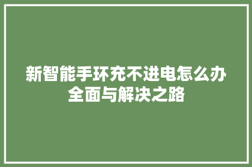 新智能手环充不进电怎么办全面与解决之路  第1张