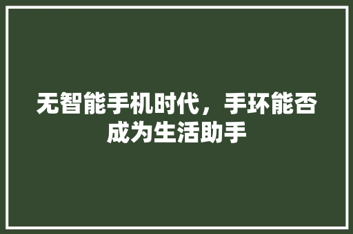 无智能手机时代，手环能否成为生活助手