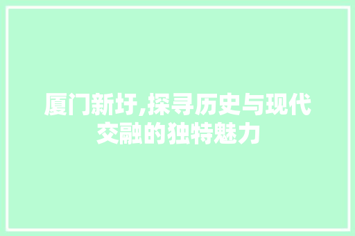 厦门新圩,探寻历史与现代交融的独特魅力