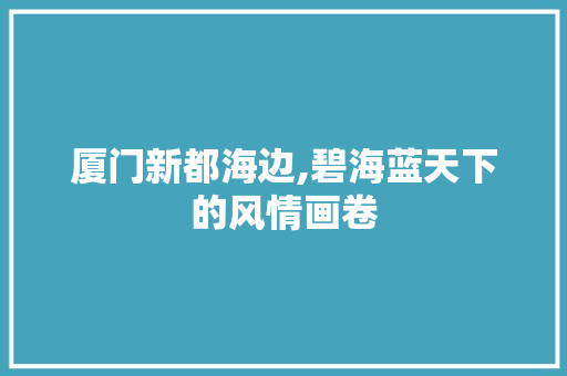 厦门新都海边,碧海蓝天下的风情画卷