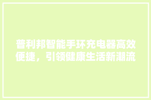 普利邦智能手环充电器高效便捷，引领健康生活新潮流