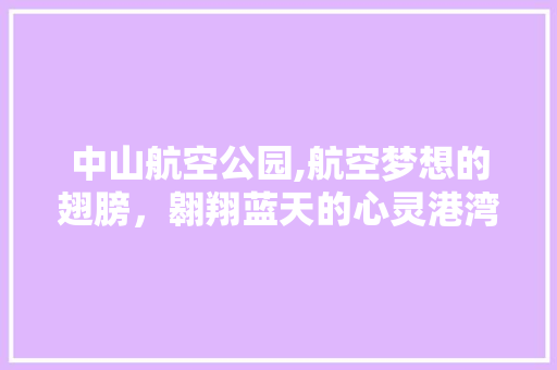 中山航空公园,航空梦想的翅膀，翱翔蓝天的心灵港湾