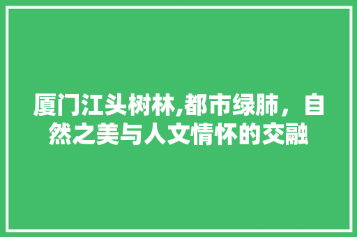 厦门江头树林,都市绿肺，自然之美与人文情怀的交融