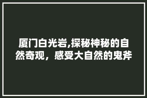 厦门白光岩,探秘神秘的自然奇观，感受大自然的鬼斧神工