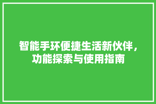 智能手环便捷生活新伙伴，功能探索与使用指南