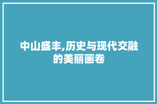 中山盛丰,历史与现代交融的美丽画卷