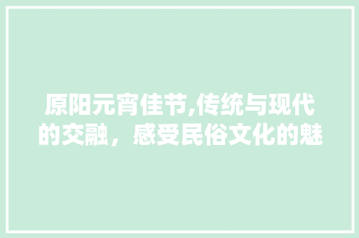 原阳元宵佳节,传统与现代的交融，感受民俗文化的魅力