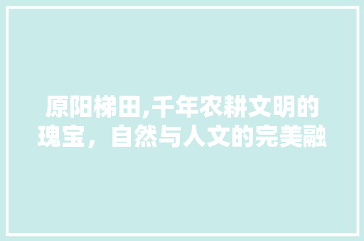 原阳梯田,千年农耕文明的瑰宝，自然与人文的完美融合