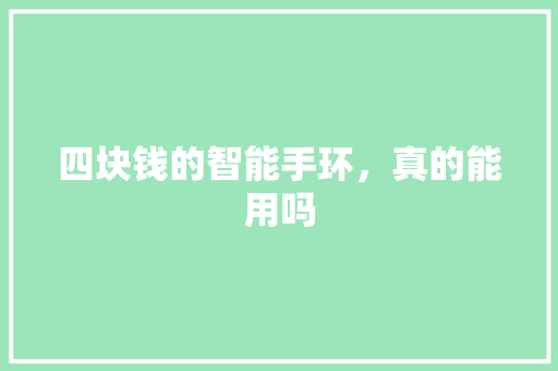 四块钱的智能手环，真的能用吗