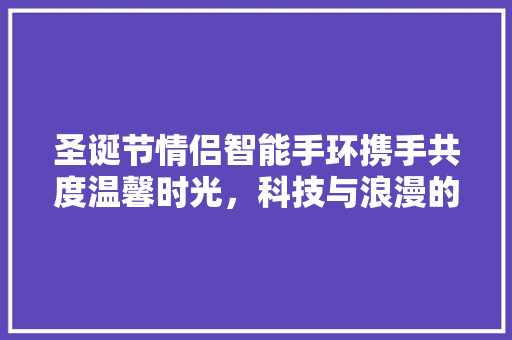 圣诞节情侣智能手环携手共度温馨时光，科技与浪漫的完美融合  第1张