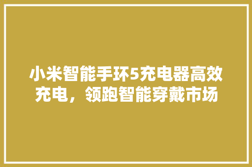 小米智能手环5充电器高效充电，领跑智能穿戴市场