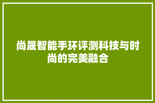 尚晟智能手环评测科技与时尚的完美融合