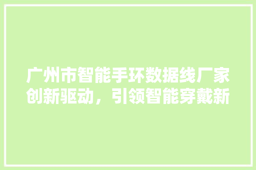 广州市智能手环数据线厂家创新驱动，引领智能穿戴新时代