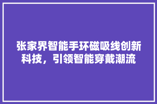 张家界智能手环磁吸线创新科技，引领智能穿戴潮流  第1张