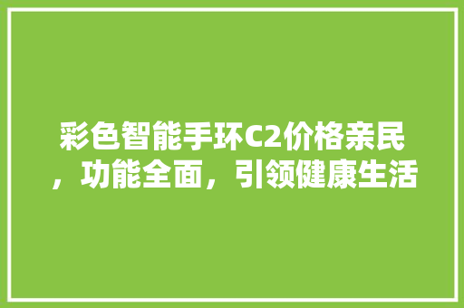 彩色智能手环C2价格亲民，功能全面，引领健康生活新潮流  第1张