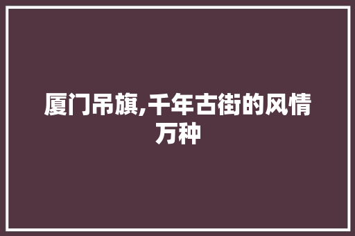 厦门吊旗,千年古街的风情万种