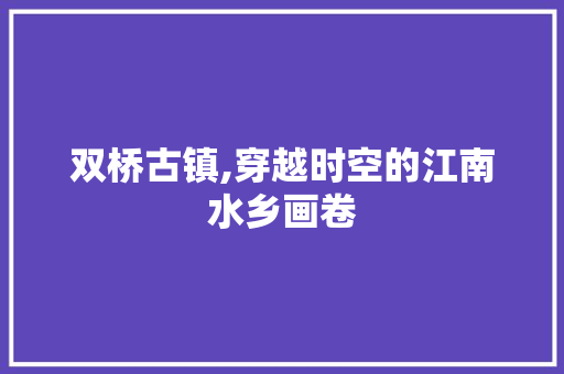 双桥古镇,穿越时空的江南水乡画卷