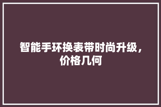 智能手环换表带时尚升级，价格几何  第1张