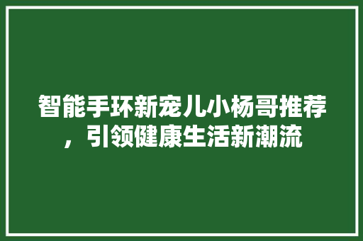 智能手环新宠儿小杨哥推荐，引领健康生活新潮流