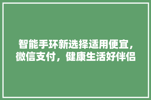 智能手环新选择适用便宜，微信支付，健康生活好伴侣