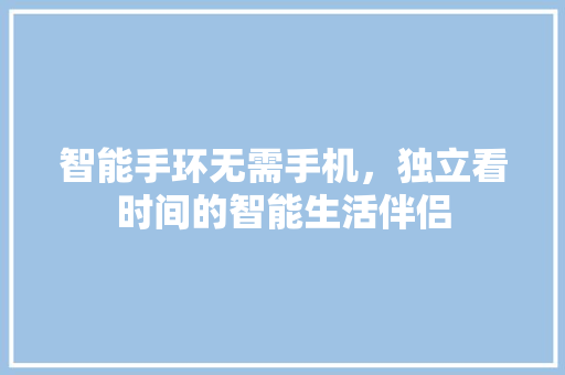 智能手环无需手机，独立看时间的智能生活伴侣