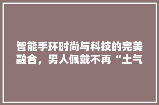 智能手环时尚与科技的完美融合，男人佩戴不再“土气”