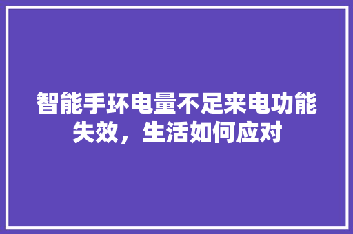 智能手环电量不足来电功能失效，生活如何应对  第1张