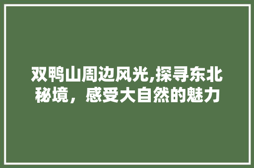 双鸭山周边风光,探寻东北秘境，感受大自然的魅力