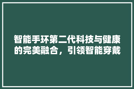 智能手环第二代科技与健康的完美融合，引领智能穿戴新时代  第1张