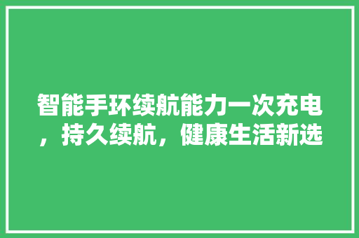 智能手环续航能力一次充电，持久续航，健康生活新选择