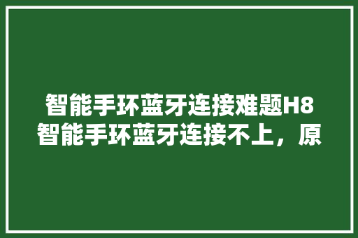 智能手环蓝牙连接难题H8智能手环蓝牙连接不上，原因及解决方法  第1张