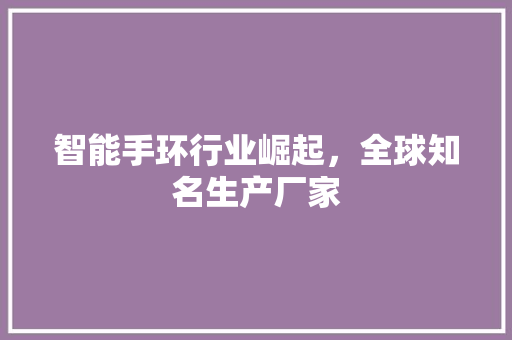 智能手环行业崛起，全球知名生产厂家