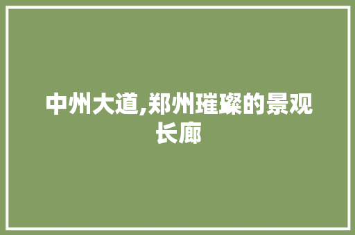 中州大道,郑州璀璨的景观长廊