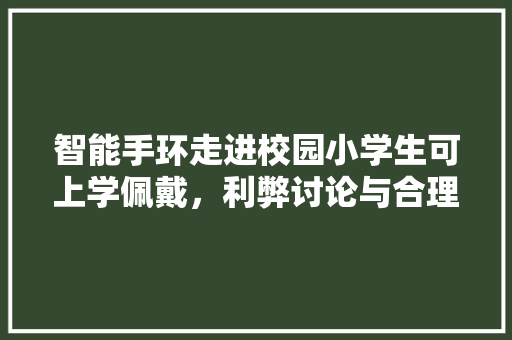 智能手环走进校园小学生可上学佩戴，利弊讨论与合理应用  第1张