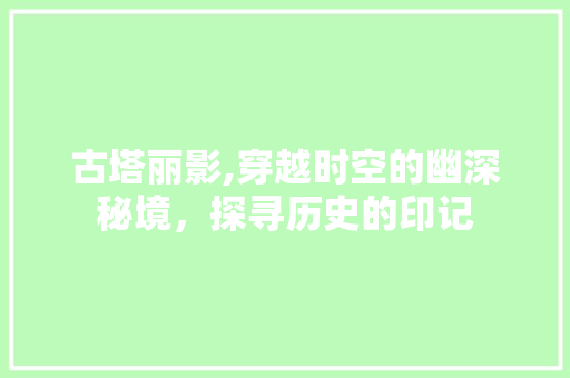 古塔丽影,穿越时空的幽深秘境，探寻历史的印记