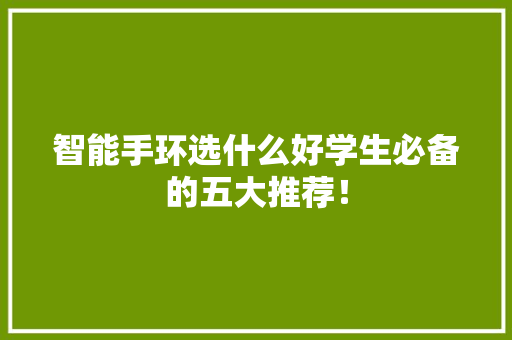 智能手环选什么好学生必备的五大推荐！