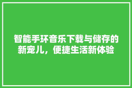 智能手环音乐下载与储存的新宠儿，便捷生活新体验