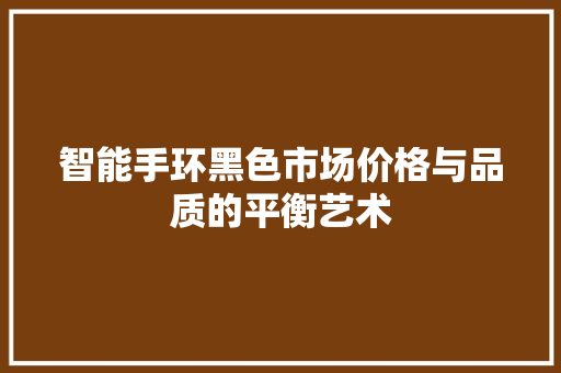 智能手环黑色市场价格与品质的平衡艺术