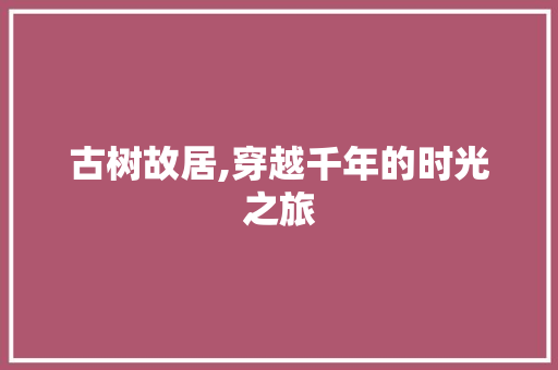 古树故居,穿越千年的时光之旅